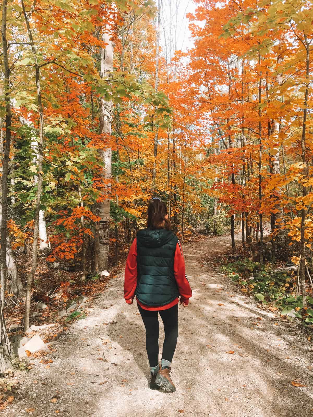How to See the Best Fall Colours in Algonquin Park Canada