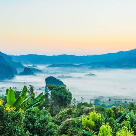 A Full Guide to Hiking the Sintra Coastal Trail in Portugal