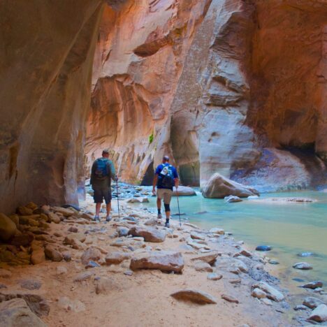 What to Do in Zion National Park: 33 Best Activities