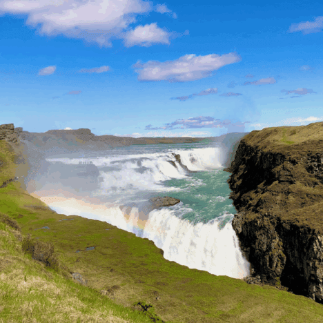 My Honest Review of Whale Watching Tours in Husavik Iceland